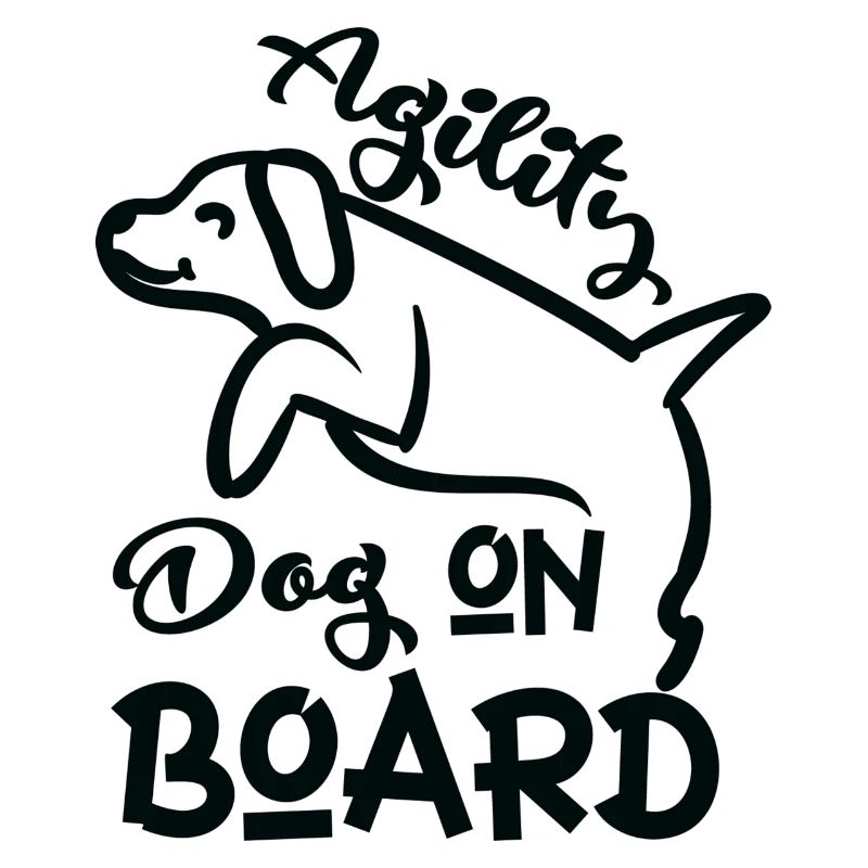 Crabot d’agilité à bord