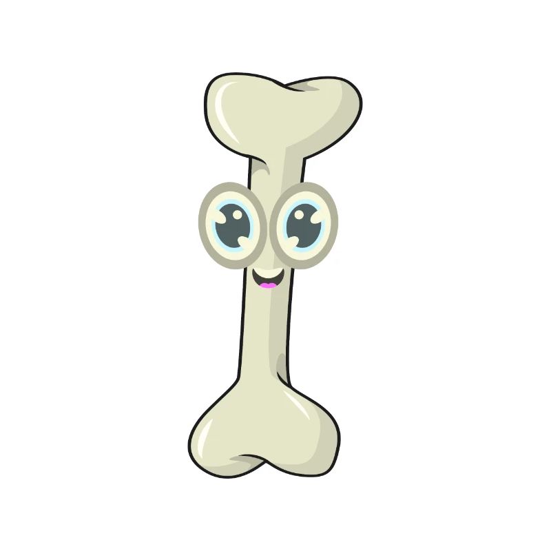 Bone chewing bone