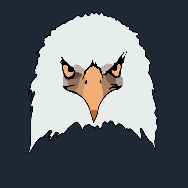 Eagle eagle motif eagle imprint bald eagle