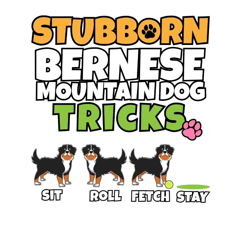 Têtu bouvier bernois Tricks I Bernese