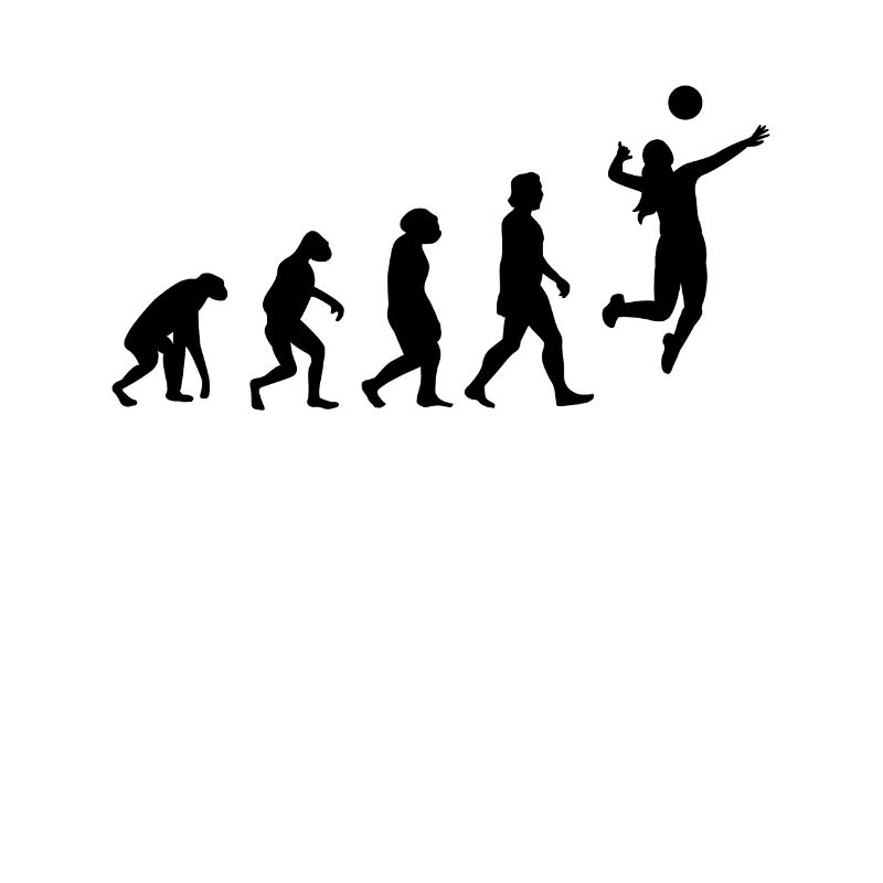 Volley-ball Evolution Volleyball