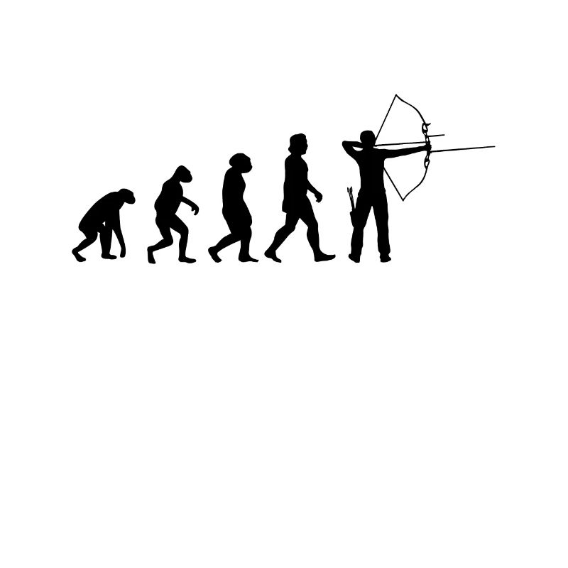 Archer Evolution Archery Arrow Bow