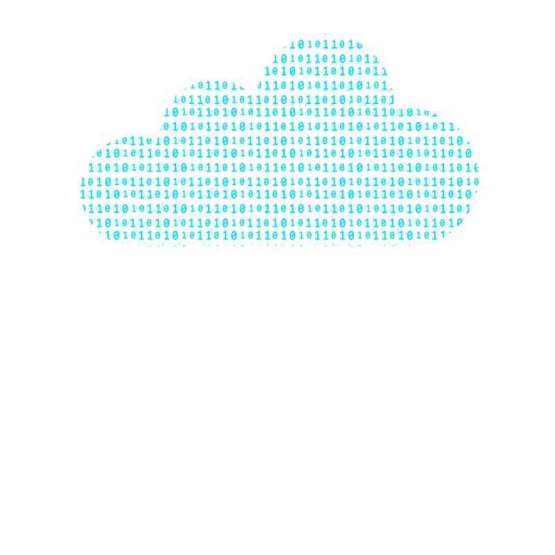 Software Engineer Binary Codes