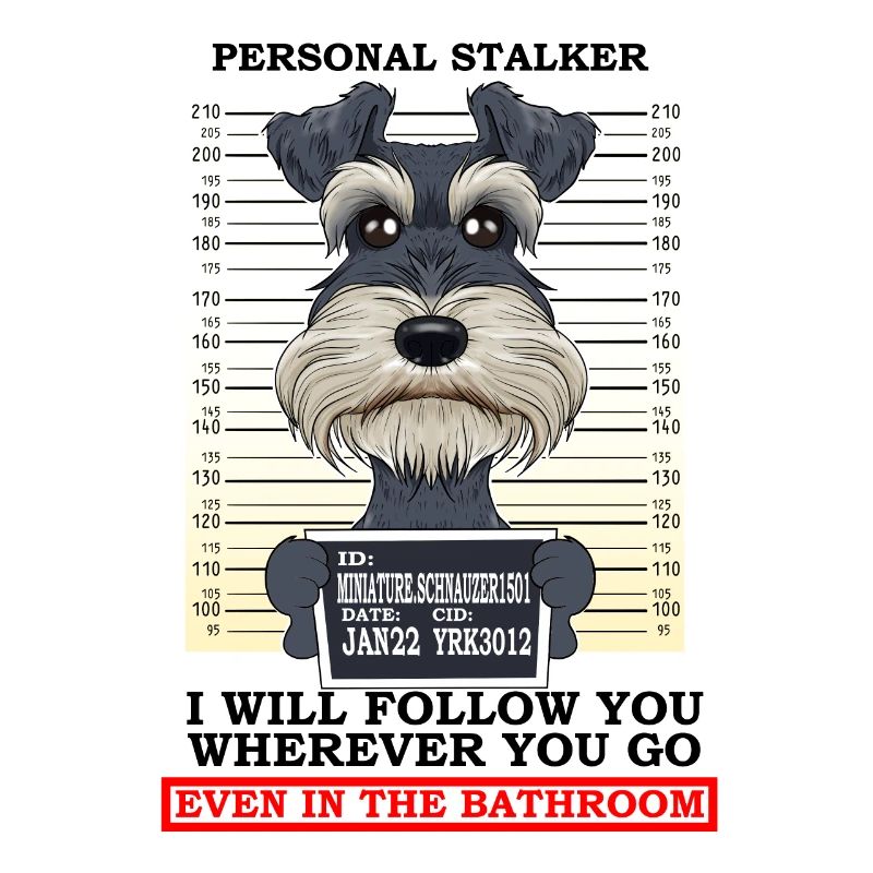 Personal Stalker Miniature Schnauzer