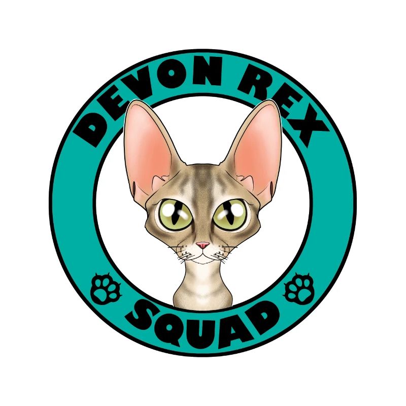 Devon Rex Squad I Amoureux des chats I Devon Rex Chat