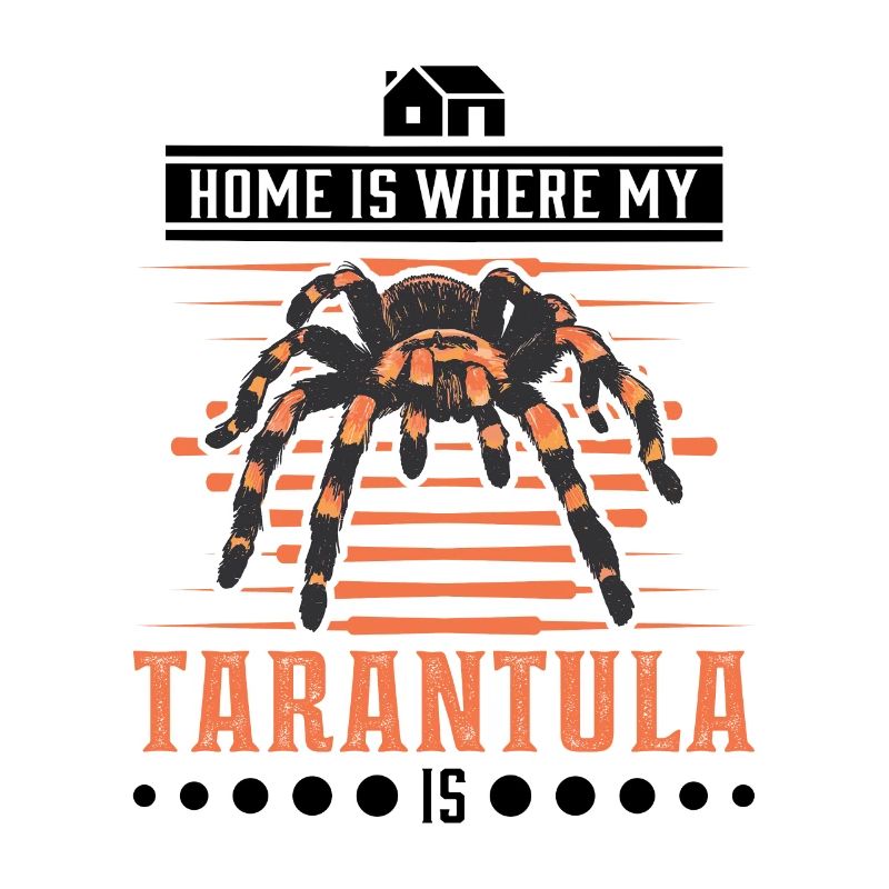 Tarantula Home Spider Tarantula