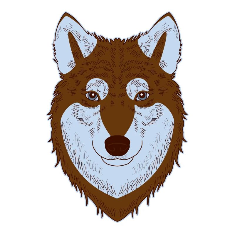 Husky sibérien