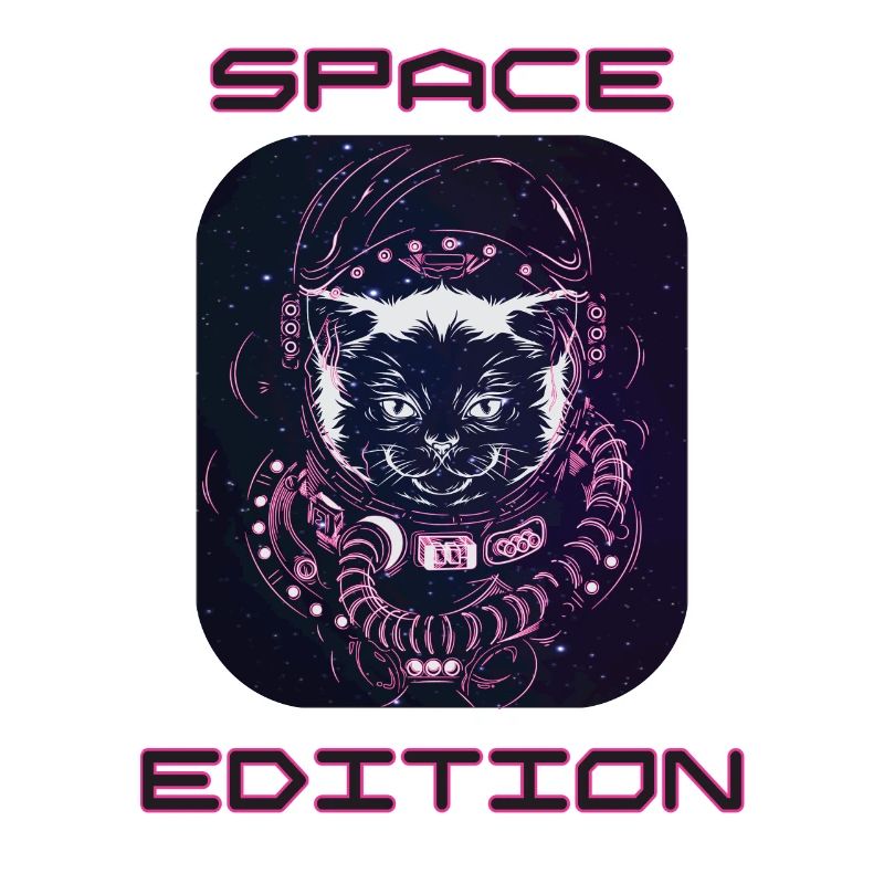 Chat de l’espace