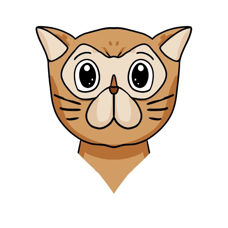 Chat persan Chat Race Chat