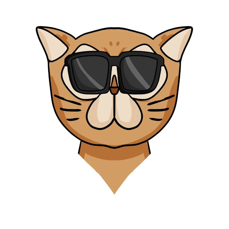 Cool Chat Persan Chat Race Chat