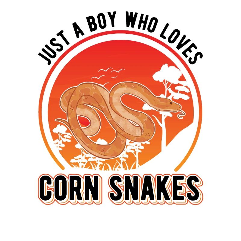 Corn Snake Young Corn Snake
