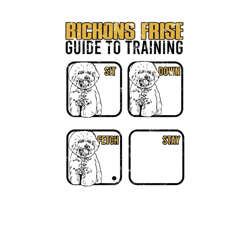 Bichon frise guide to training Sit down Fetch