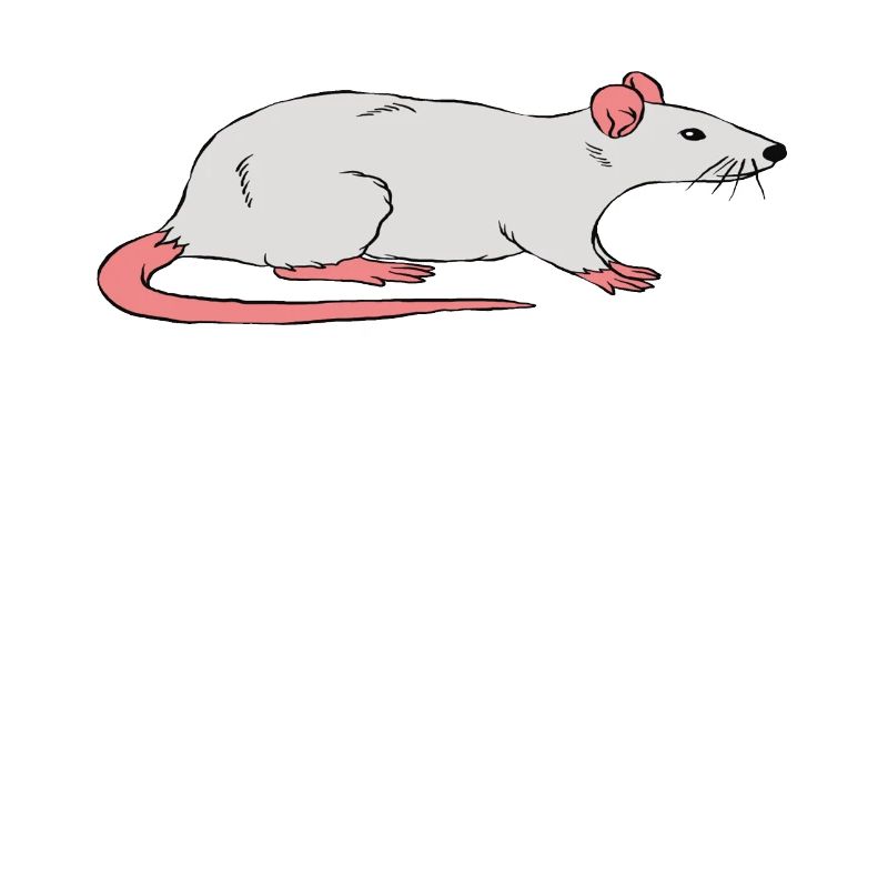 Rat Whisperer