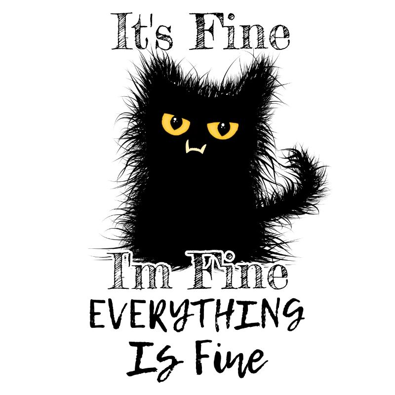I'm Fine Everything Is Fine Wuschelige Katze