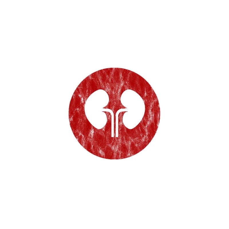 Having Two Kidneys Is So Last Year 3