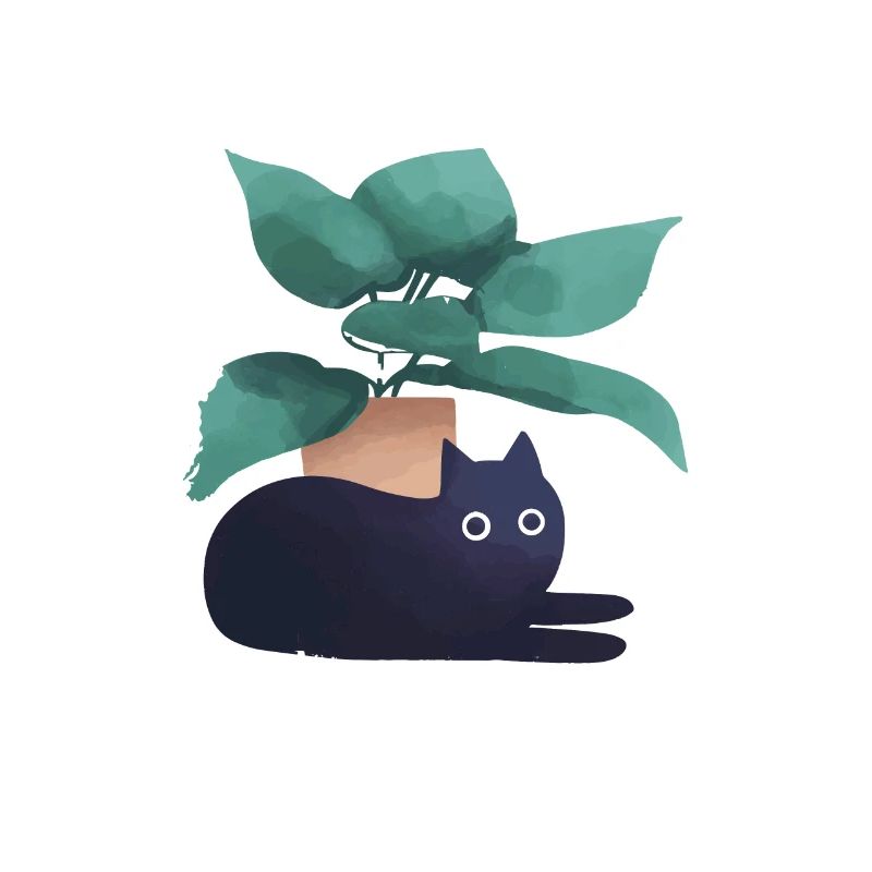 Chats et plantes