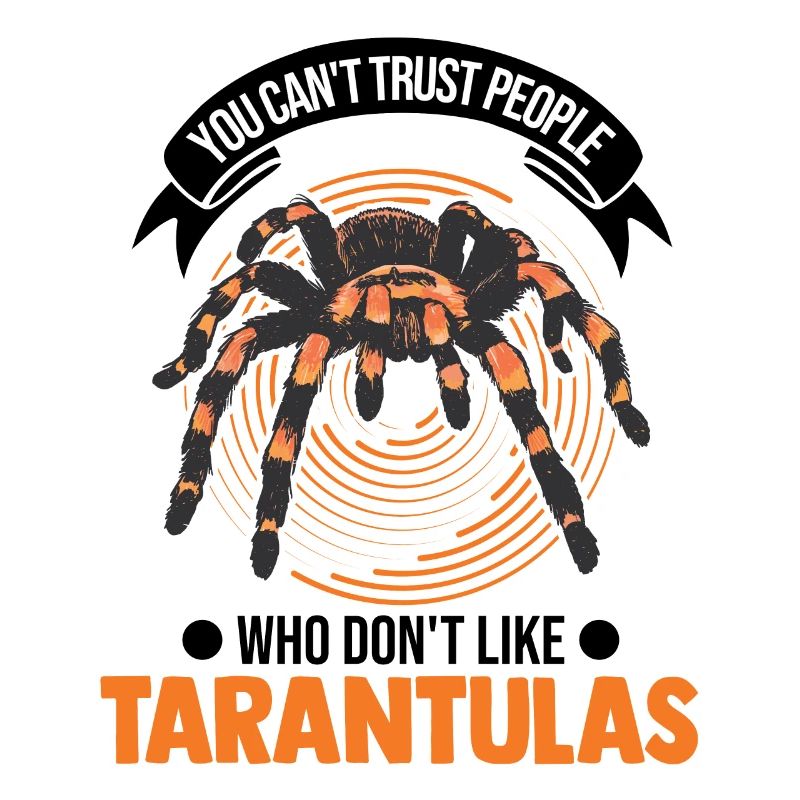 Tarantula Pet Spider Tarantula