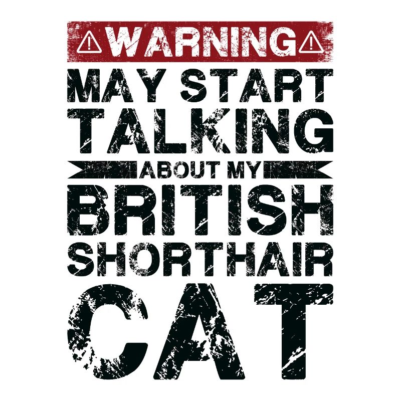 Talking about Abyssinian cat