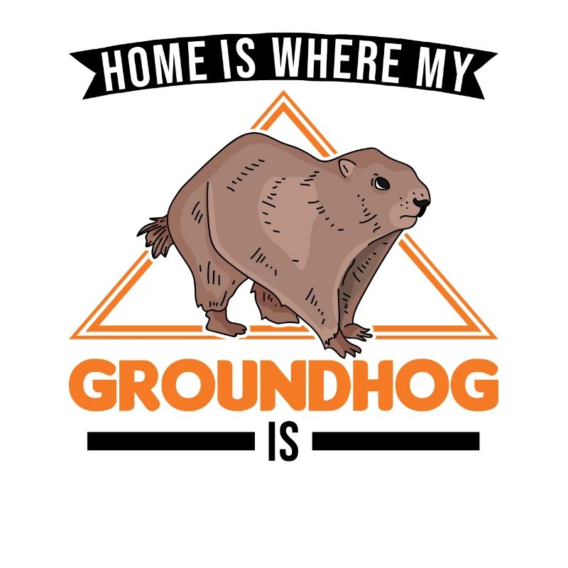 Groundhog Home Groundhog Day Marmot