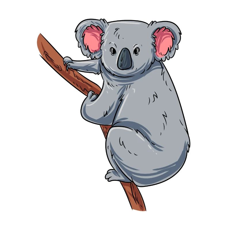 Escalade du koala