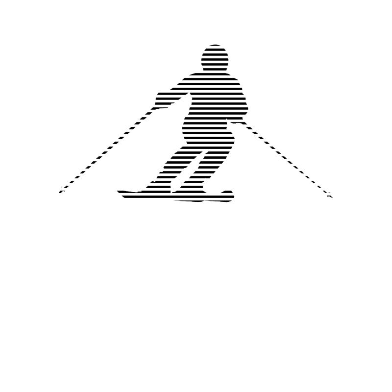 Ski