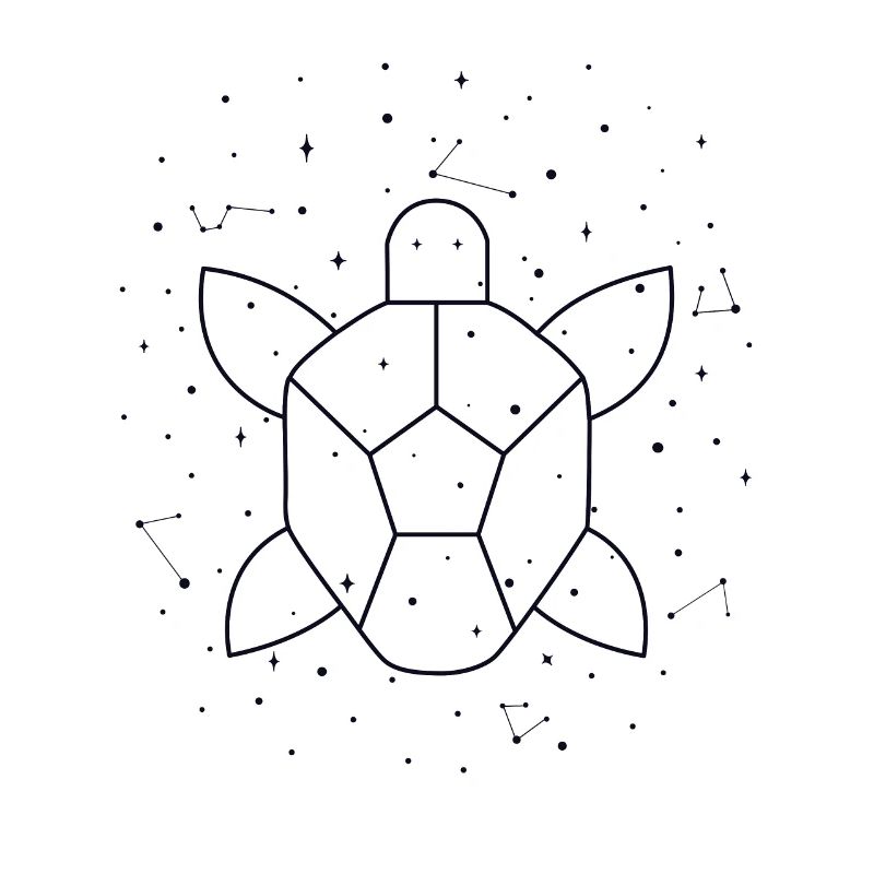 Constellation Aquatic Turtle constellation