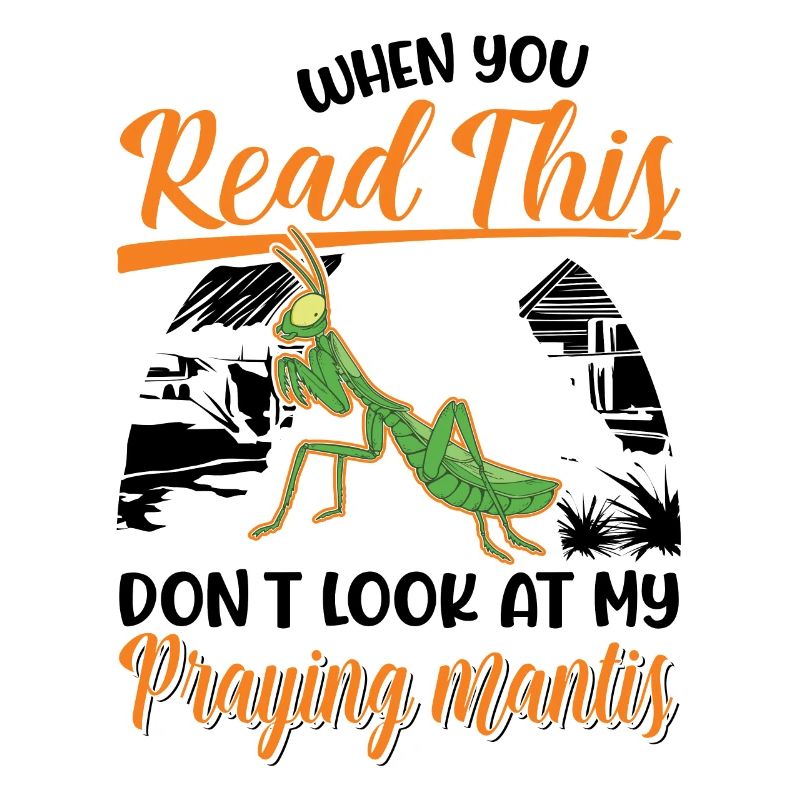 Praying mantis Gift Mantis Mantis