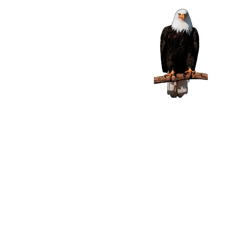 Conception graphique de l’oiseau pygargue à tête blanche