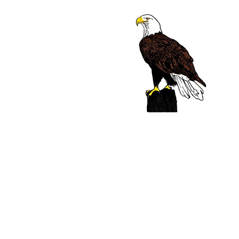 Aigle