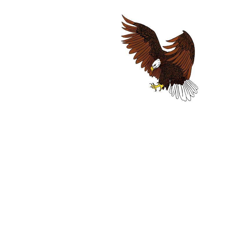 Aigle