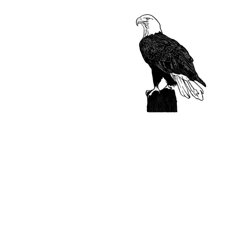 Aigle
