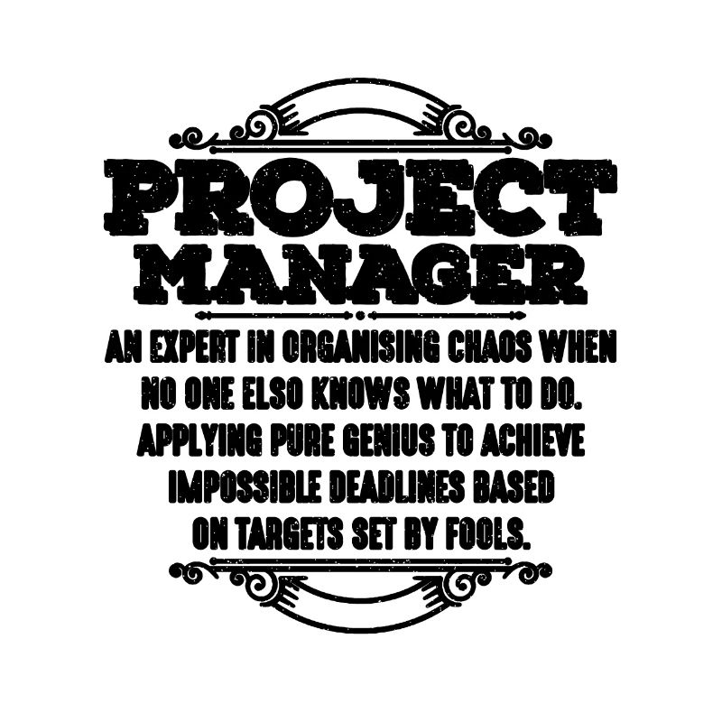 Chef de projet Un expert en chef d’équipe de projet