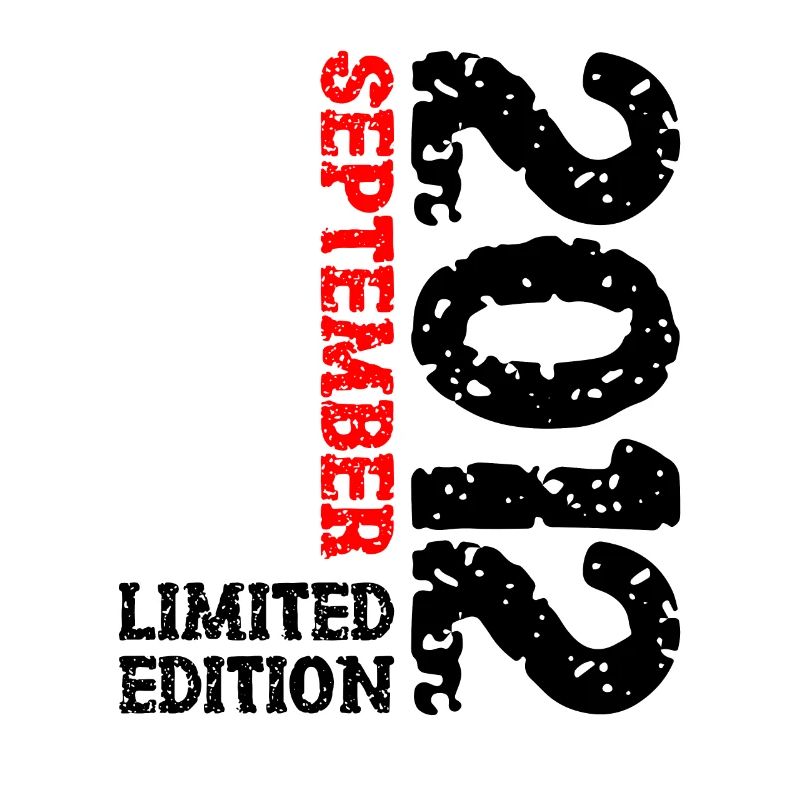 2012 September Limited Edition 11th Birthday Decoration