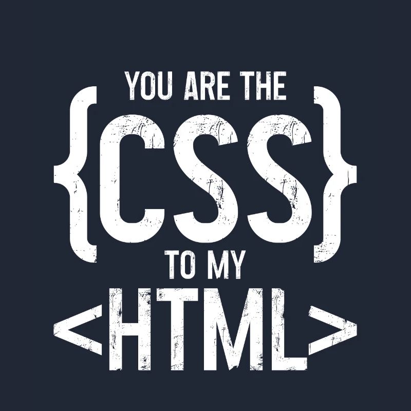 Vous êtes le CSS de mon HTML 3