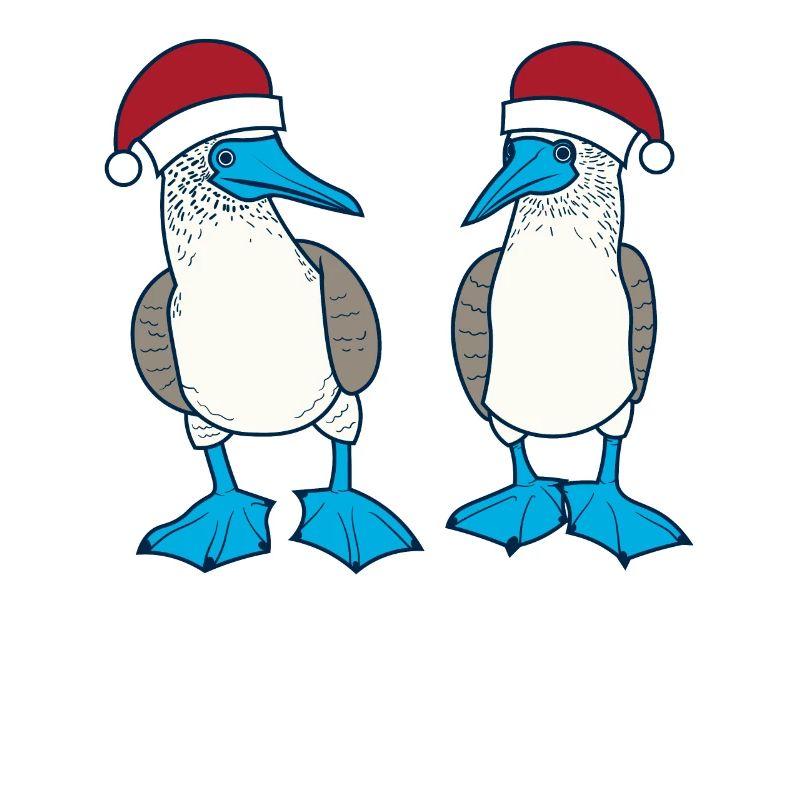 Fou à pieds bleus Noël