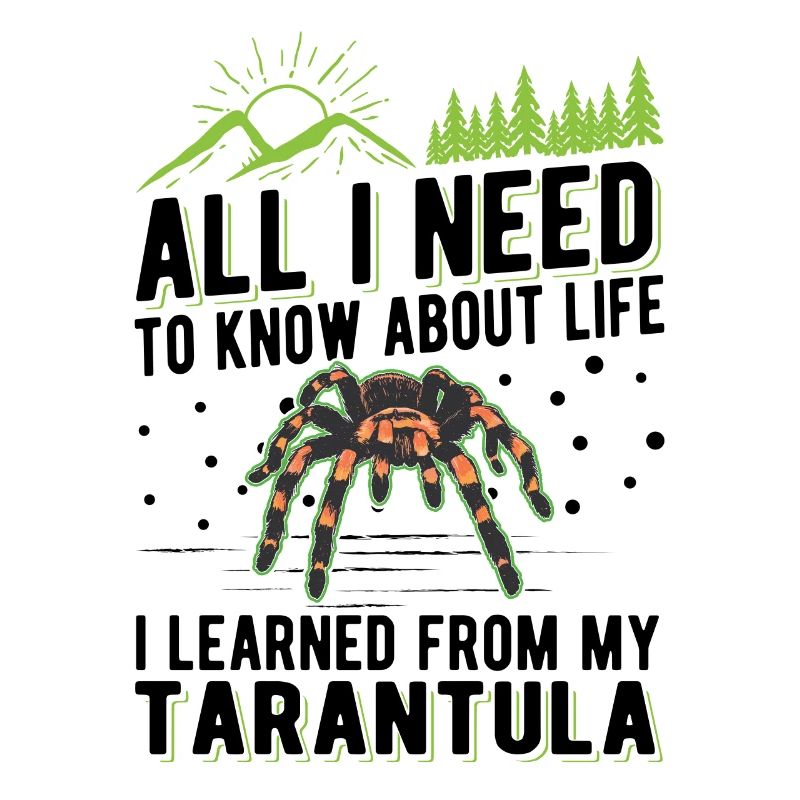 Tarentule Araignée Tarentule