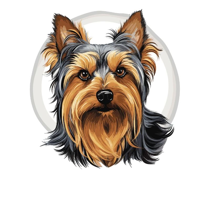 Terrier soyeux australien