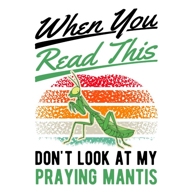 Praying Mantis Gift Mantis Mantis
