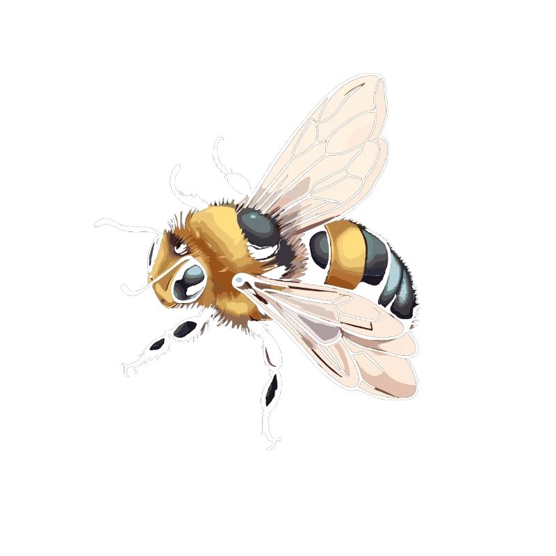 Abeille heureuse