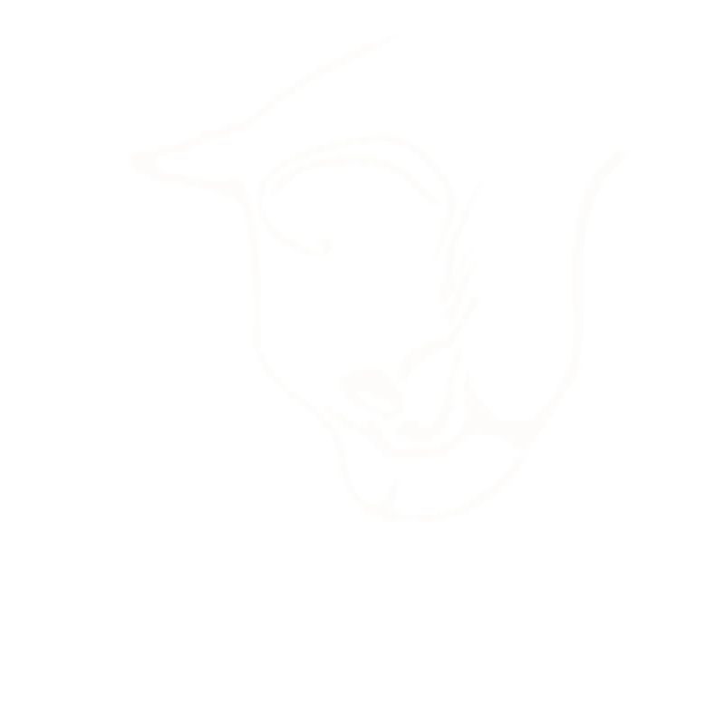 Conception graphique de visage de chat