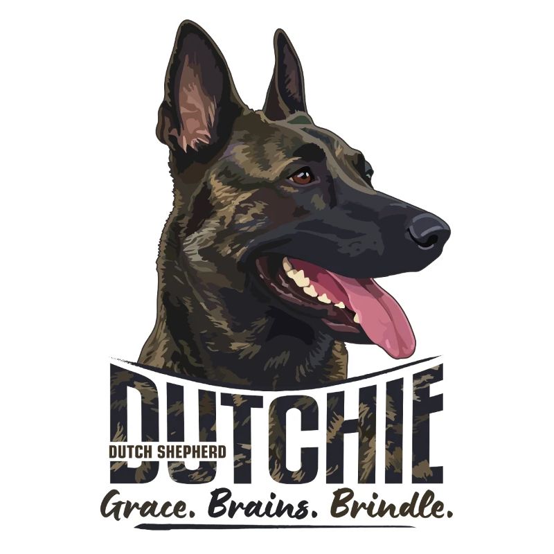 Dutchie - Holländischer Schäferhund