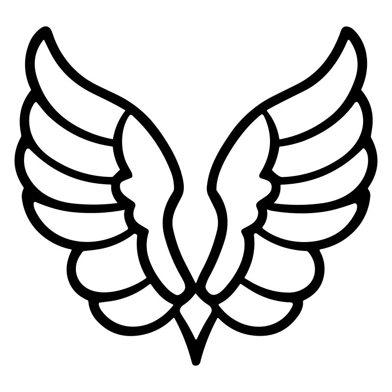 Ailes d'ange