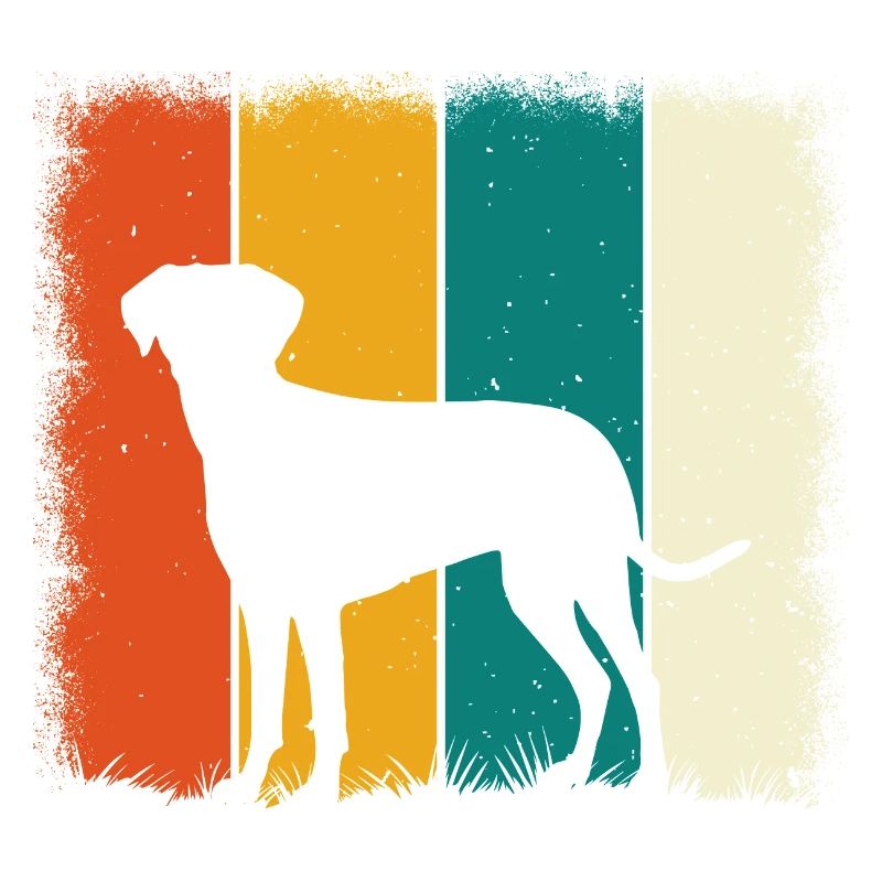 Labrador Retro