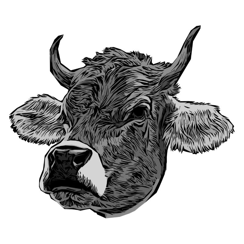 Motif de vache