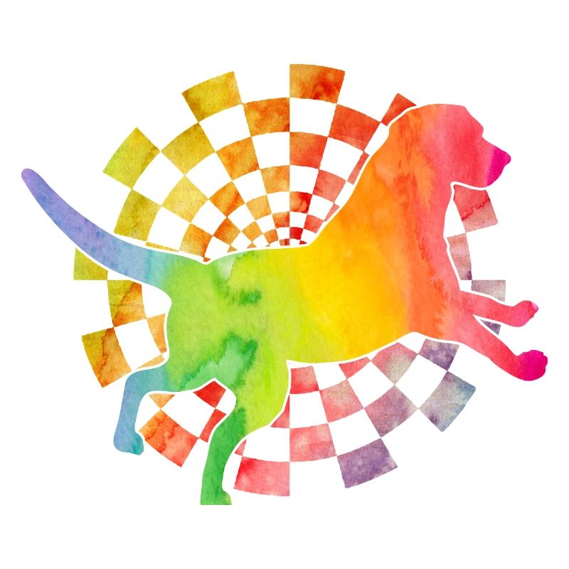 Labrador Rétro