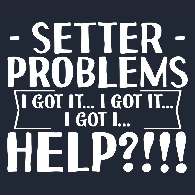 Setter Problems I Got It I Got It I Got It Help4