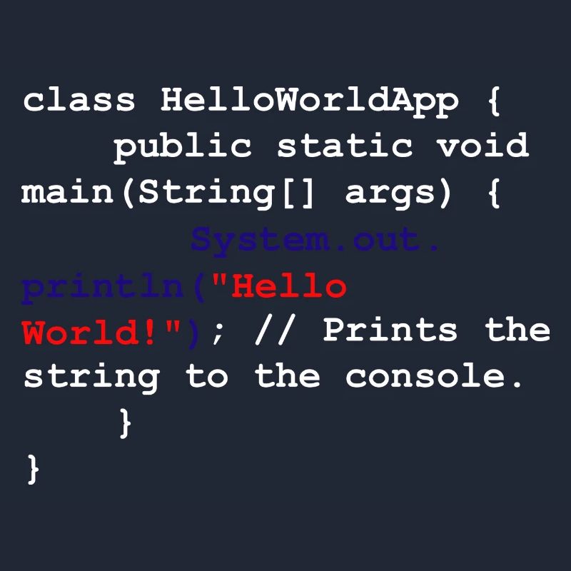 Programmer Coder Software Developer