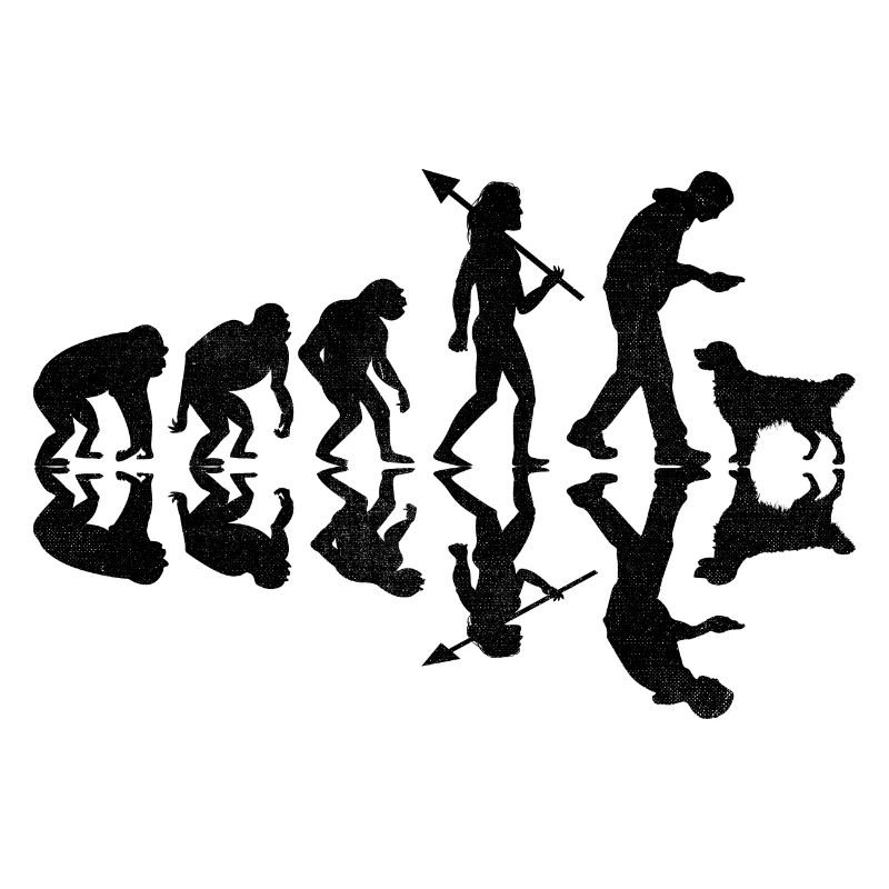 Evolution Golden Retriever GR Dog Retrievers