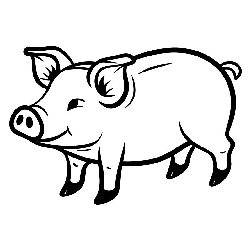 pig