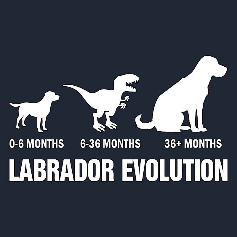 Labrador Evolution